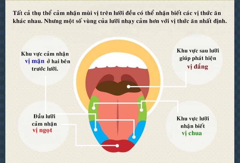 Những nguy hại khi rối loạn vị giác