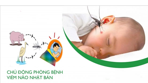 Chớm hè, cần đề phòng bệnh viêm não Nhật Bản