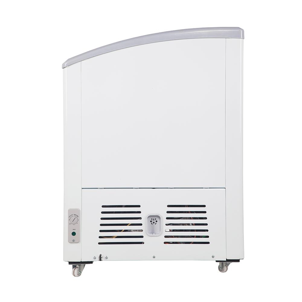 Tủ đông ALASKA kính cong KC-210C