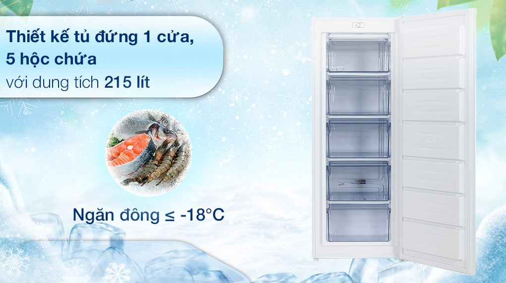 TỦ ĐÔNG ALASKA 5 NGĂN DẠNG ĐỨNG DF-217 CÔNG SUẤT 100W