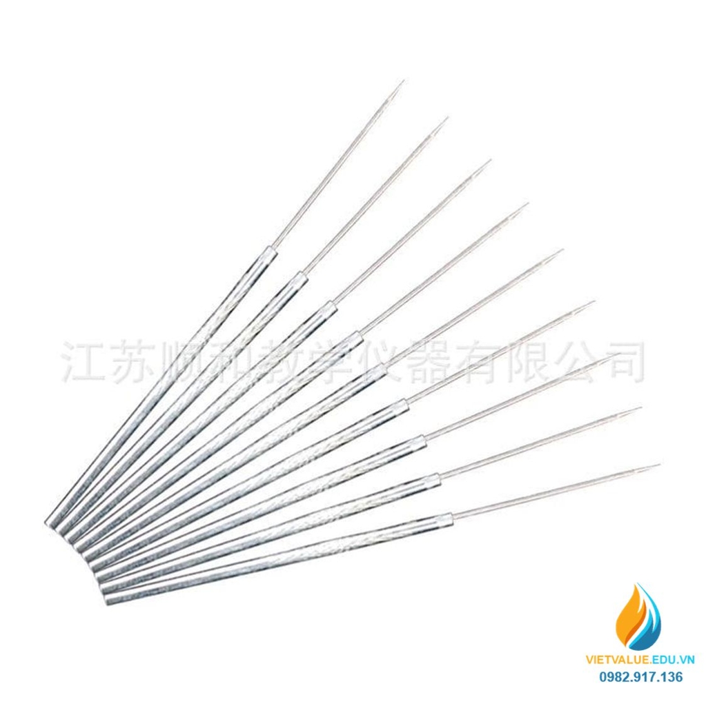 Que cấy vi sinh đầu thẳng, dài 20cm, xiên lấy mẫu đầu thẳng thí nghiệm ...
