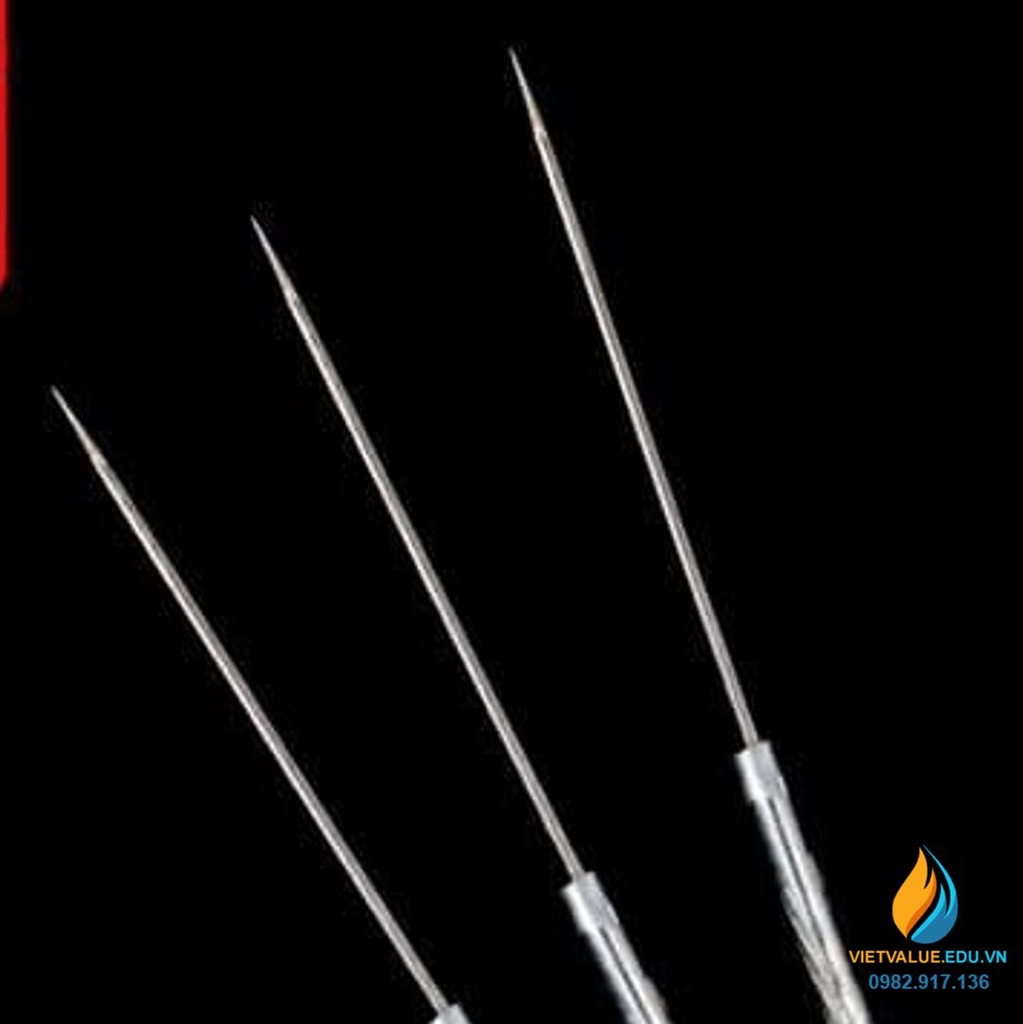 Que cấy vi sinh đầu thẳng, dài 20cm, xiên lấy mẫu đầu thẳng thí nghiệm ...
