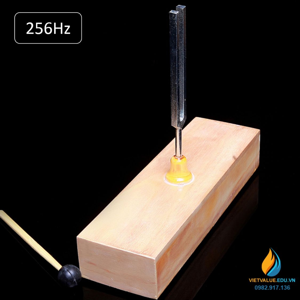 Âm thoa dao động tạo tần số 256Hz, âm thoa vật lý gồm búa cao su đi kèm ...