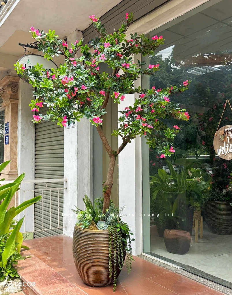 cây đỗ quyên giả