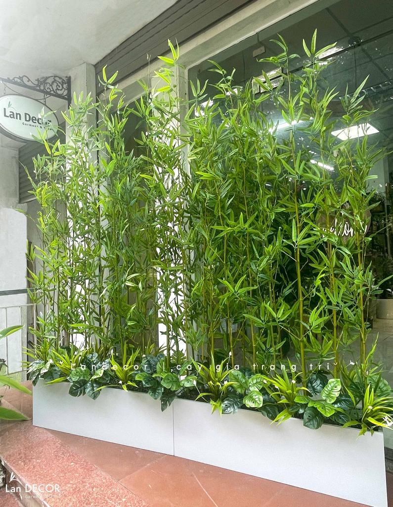 tre trúc giả decor