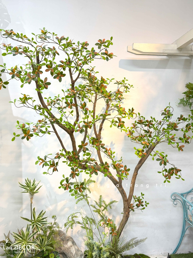 tiểu cảnh cây giả