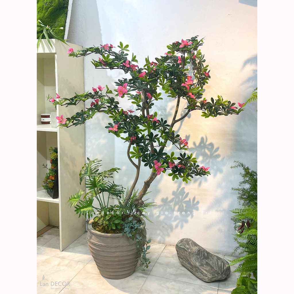 cây đỗ quyên giả