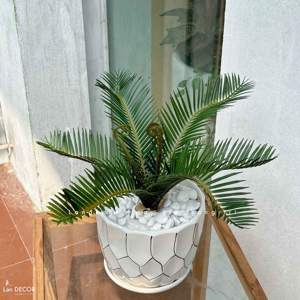 cây giả để bàn
