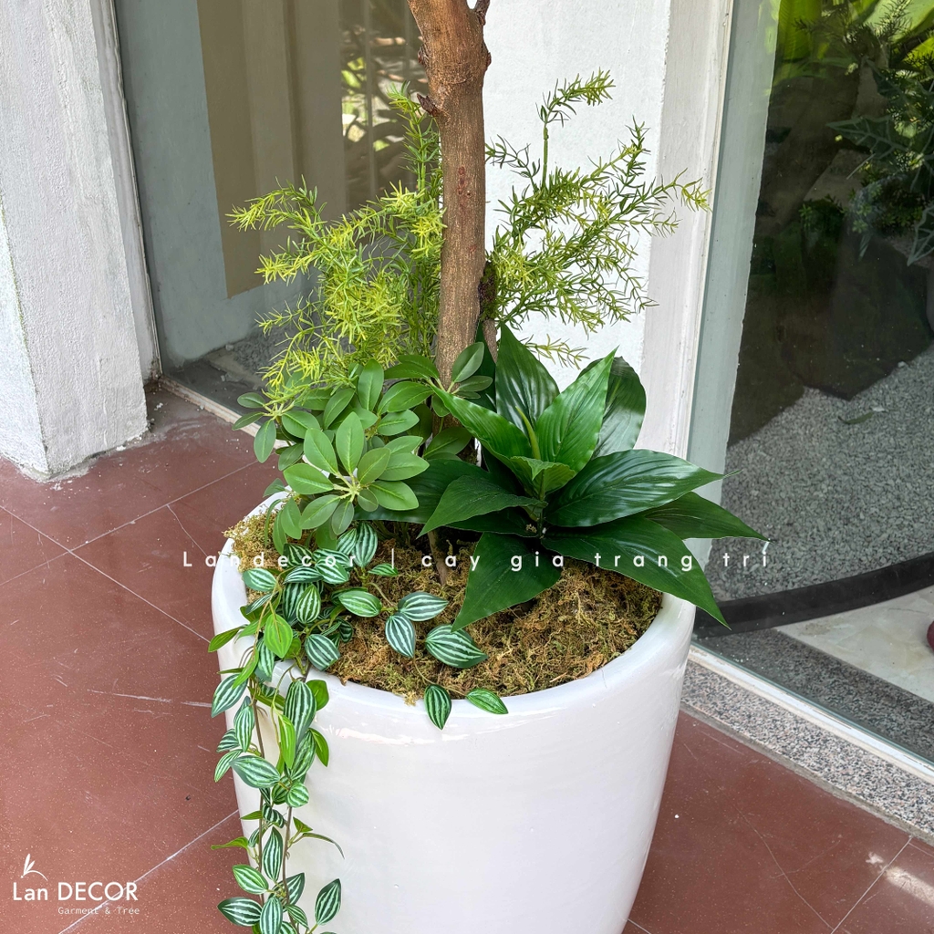 cây bồ công anh giả