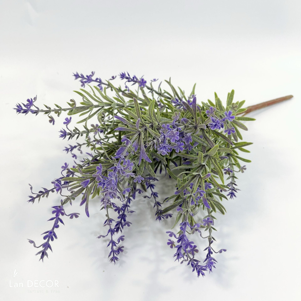 hoa lavender giả