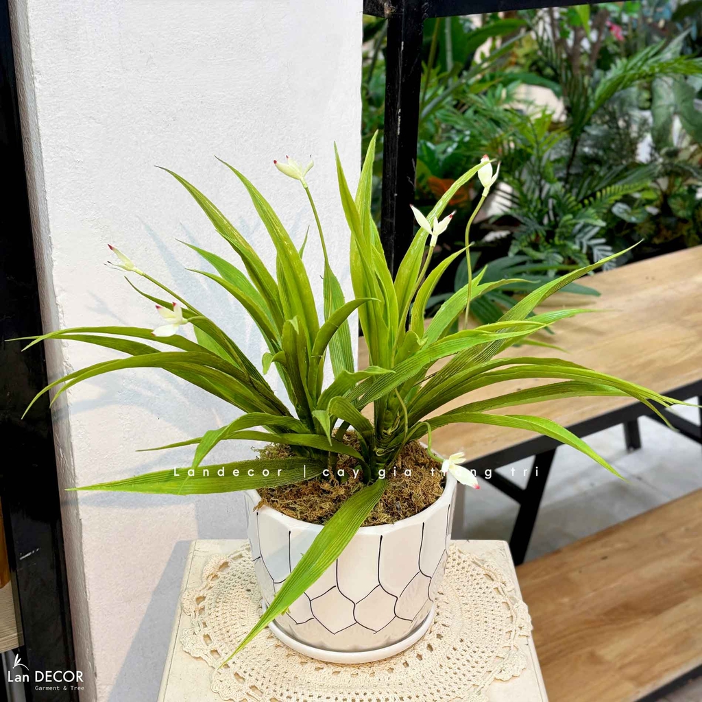 cây giả để bàn