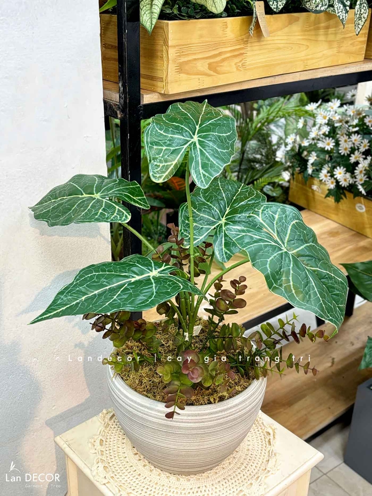 cây giả để bàn