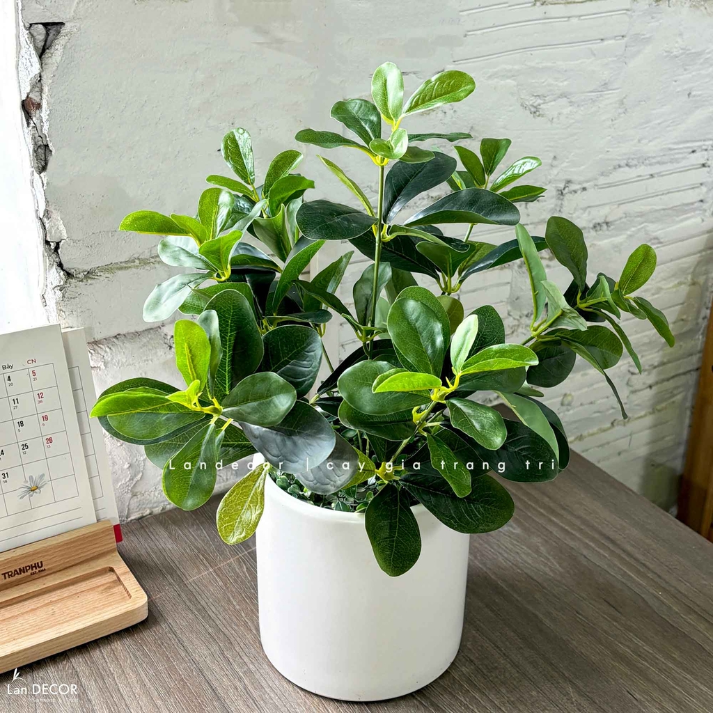 cây giả để bàn