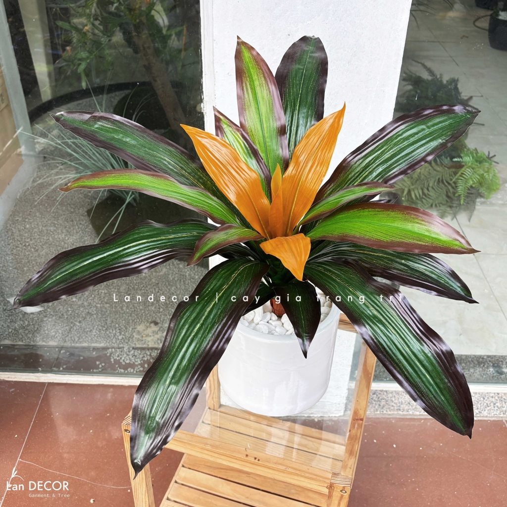 cây tài lộc giả