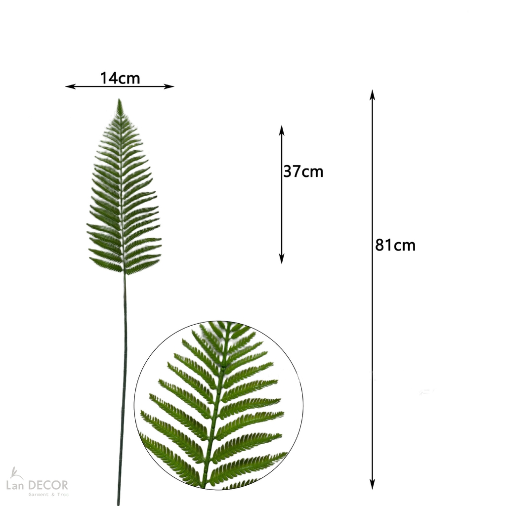 cành dương xỉ giả