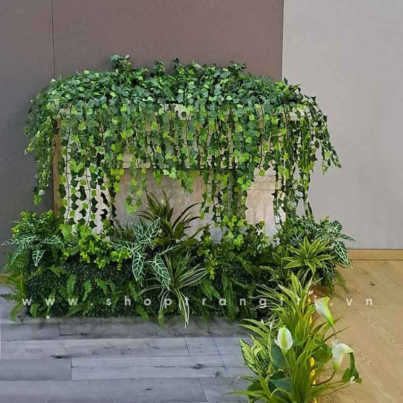 tiểu cảnh rủ decor