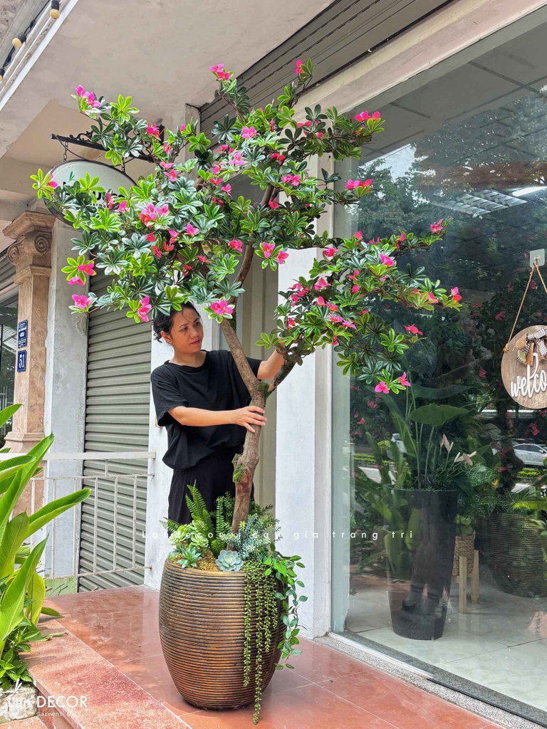 cây đỗ quyên giả