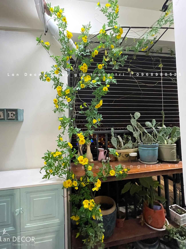 cây-dây-leo-đẹp