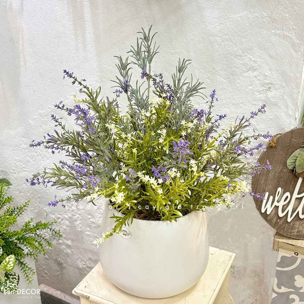 hoa oải hương giả decor