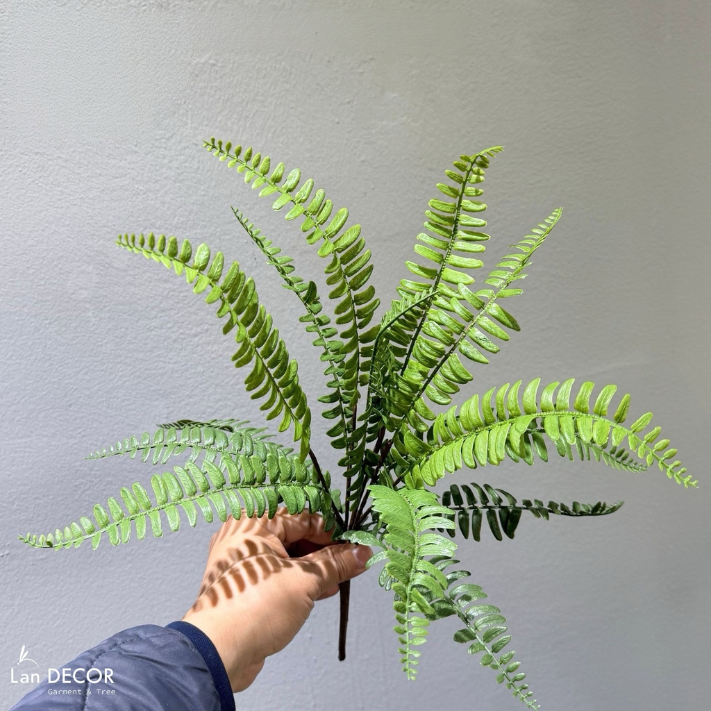 cành dương xỉ giả