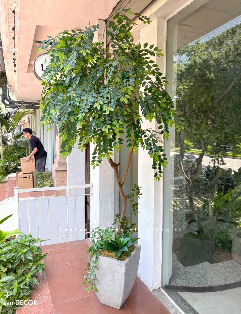 cây bồ công anh giả