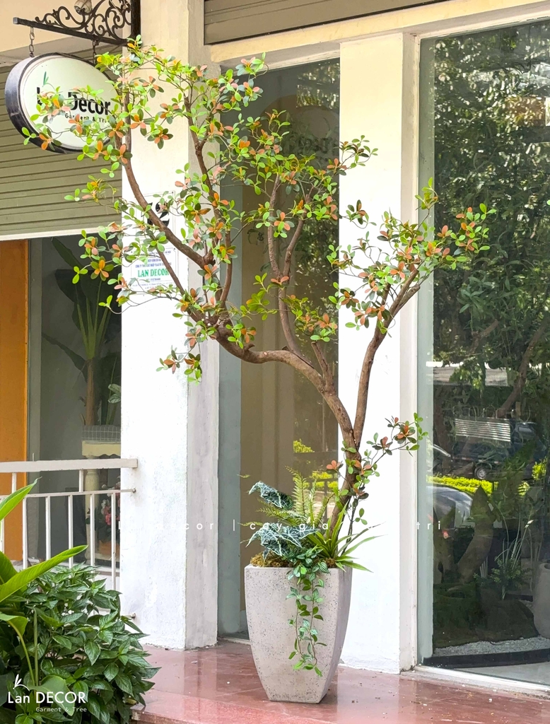 cây giả thiết kế