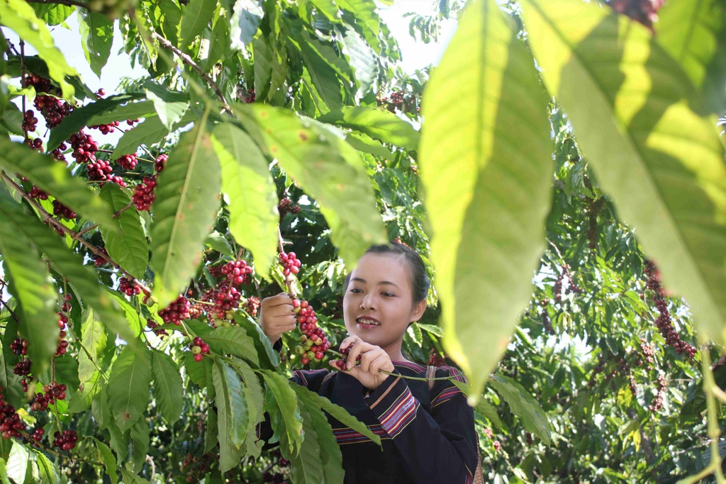 slogan cà phê sạch cà phê sạch là gì vua cà phê sạch giá cà phê sạch quán cà phê sạch cung cấp cà phê sạch cách nhận biết cà phê sạch mua cà phê sạch ở đâu cà phê sạch tại tphcm cà phê thóc khi đã rửa sạch nhớt làm khô ở độ ẩm an toàn là cà phê sạch buôn ma thuột sản xuất cà phê sạch tư vấn mở quán cà phê sạch cà phê sạch milano mua cà phê sạch cà phê sạch việt nam cà phê sạch trung nguyên bán cà phê sạch tìm hiểu về cà phê sạch mô hình kinh doanh cà phê sạch trồng cà phê sạch thương hiệu cà phê sạch công ty thu mua cà phê sạch quảng cáo cà phê sạch thế nào là cà phê sạch mô hình quán cà phê sạch mở quán cà phê sạch quy trình sản xuất cà phê sạch cà phê sạch hà nội định nghĩa cà phê sạch trang trí quán cà phê sạch cà phê sạch tiếng anh là gì cà phê hạt sạch cà phê sạch mê trang cà phê sạch nguyên chất dự án cà phê sạch