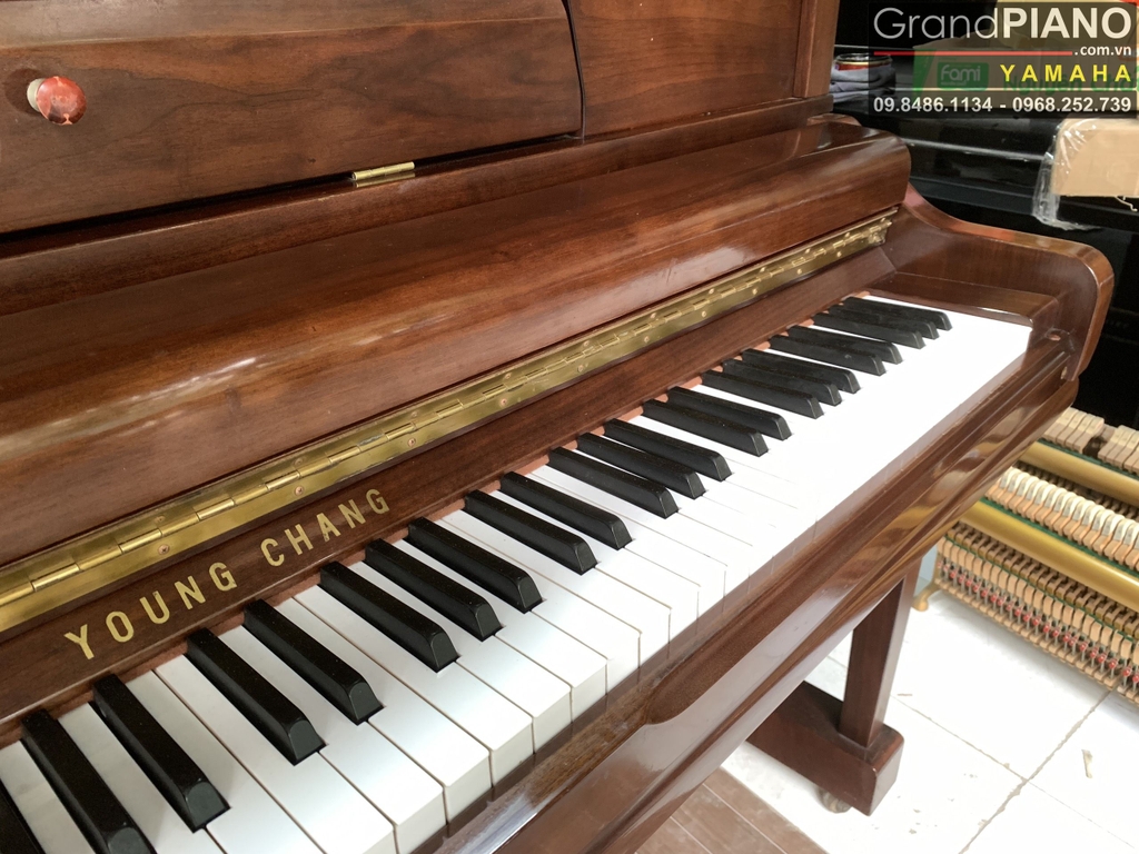 Đàn Piano cơ YOUNG CHANG UE131 GrandPIANO Hà Nội