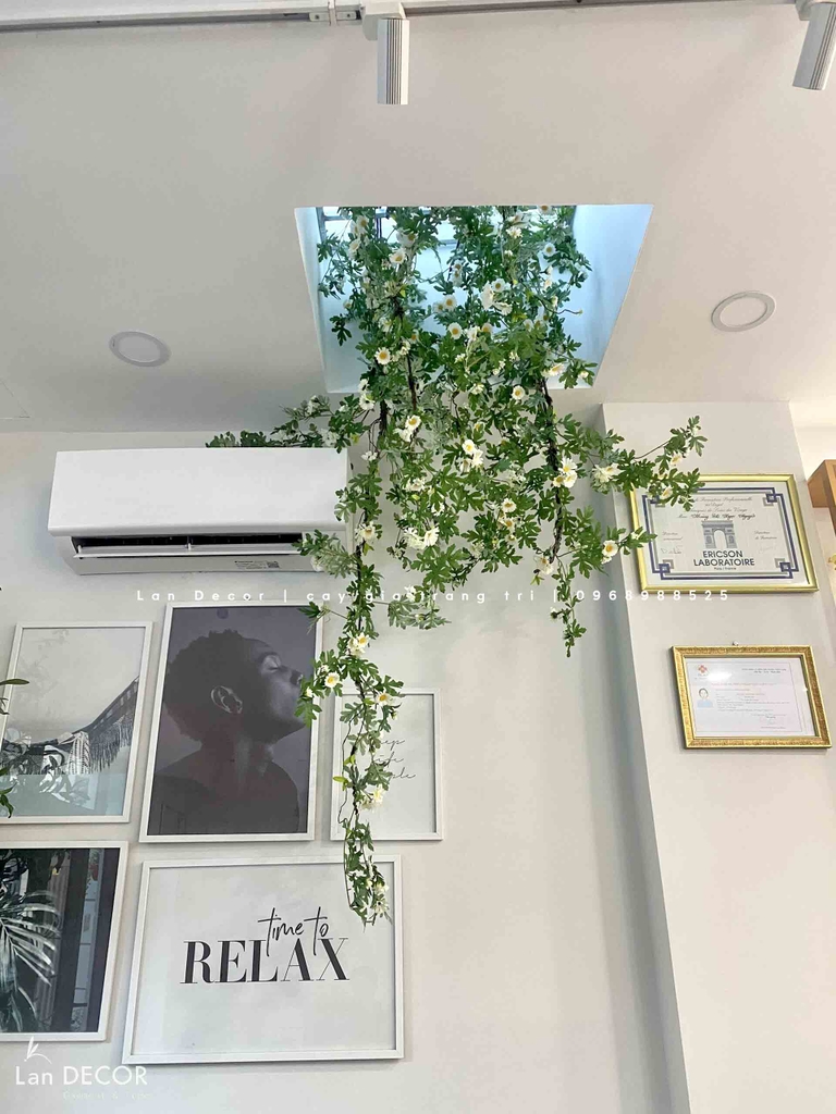 tiểu cảnh rủ decor