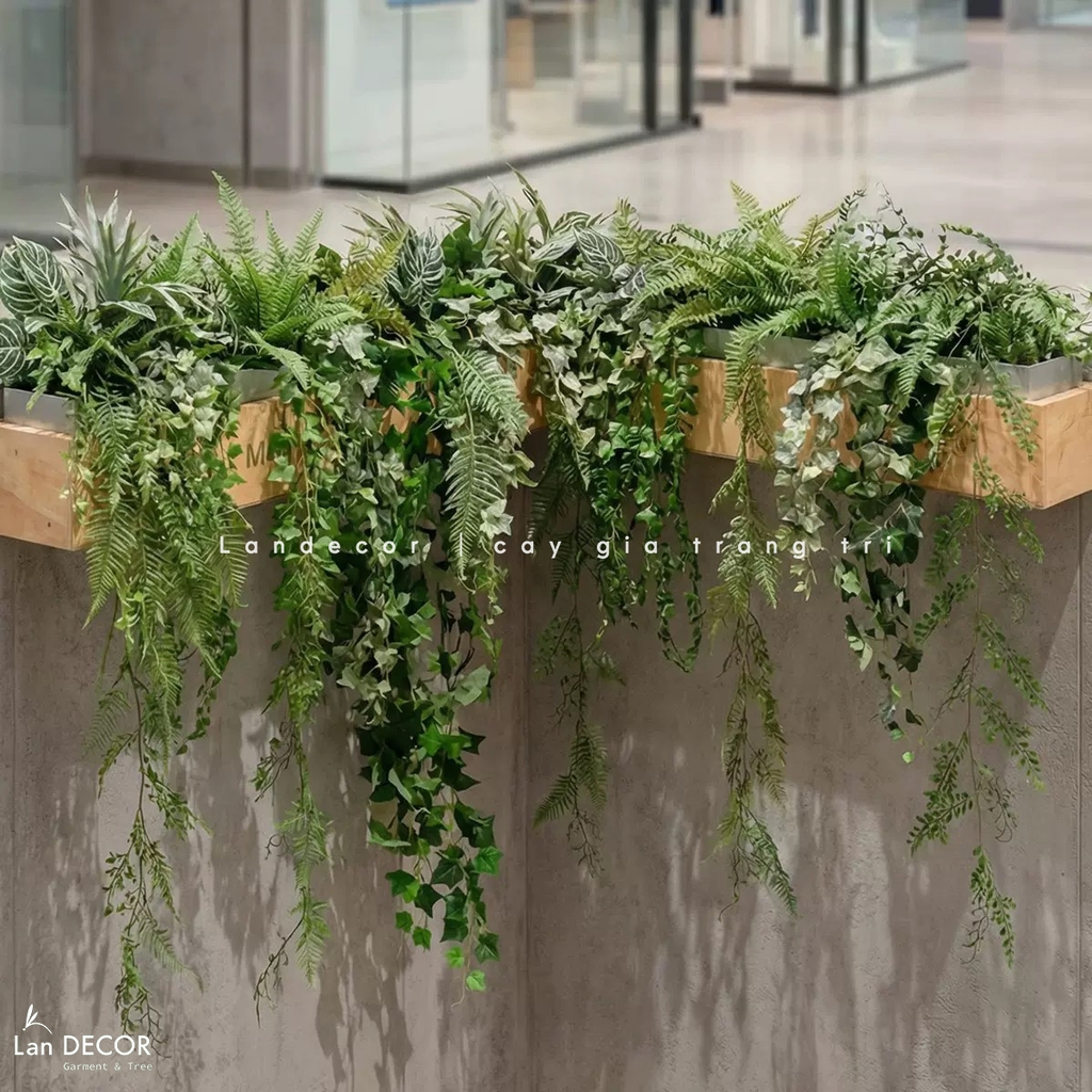 tiểu cảnh rủ decor