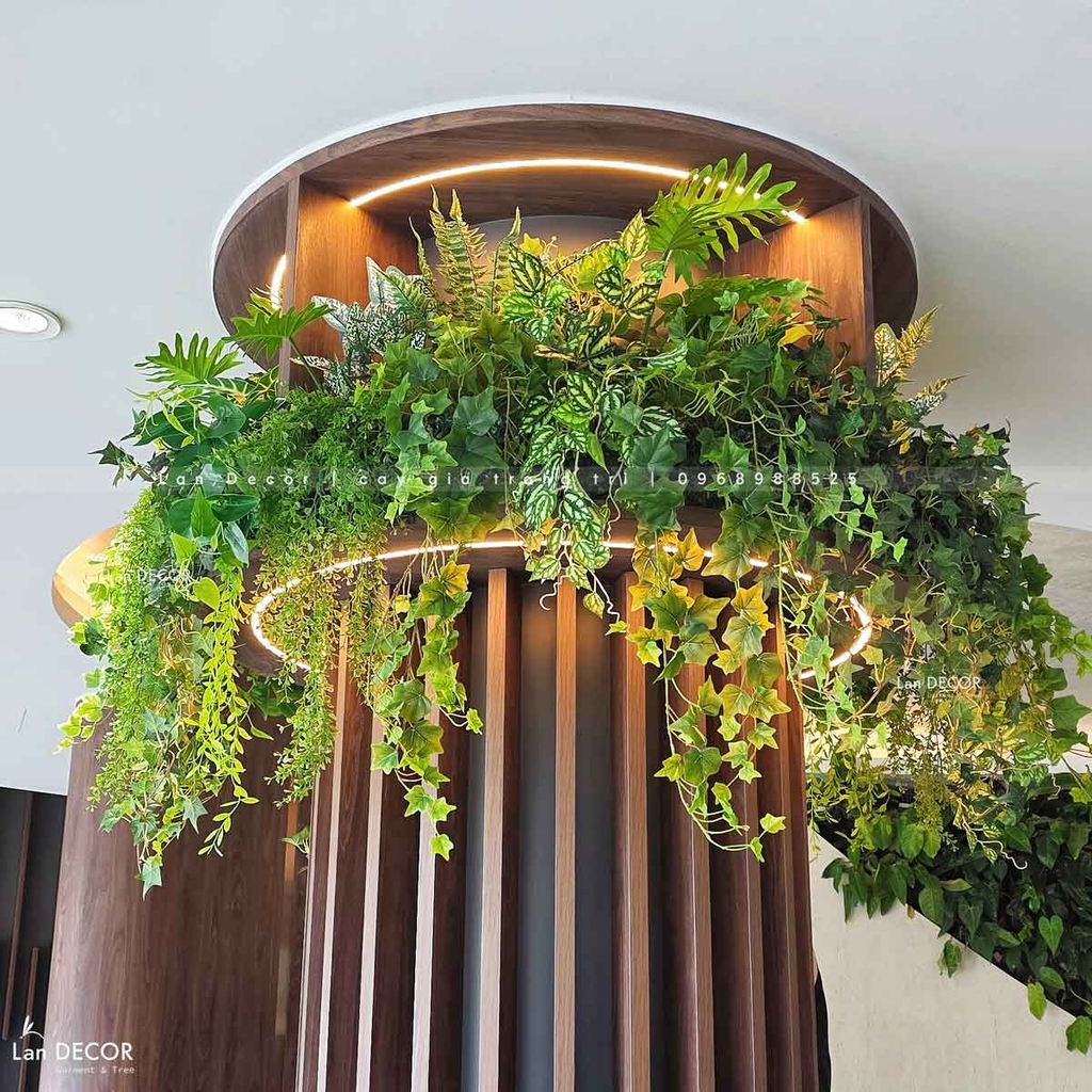 tiểu cảnh rủ decor 
