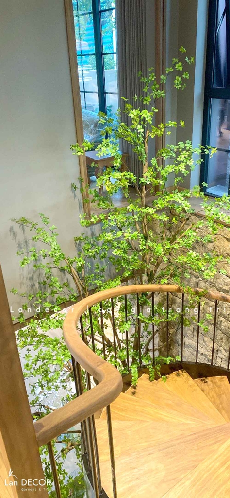 cây tiểu cảnh giếng trời