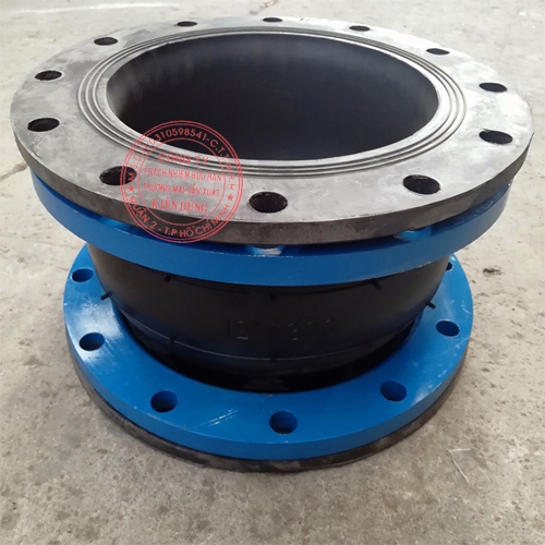 Khớp nối mềm giãn nở cao su Full Face Rubber Expansion Joint 2