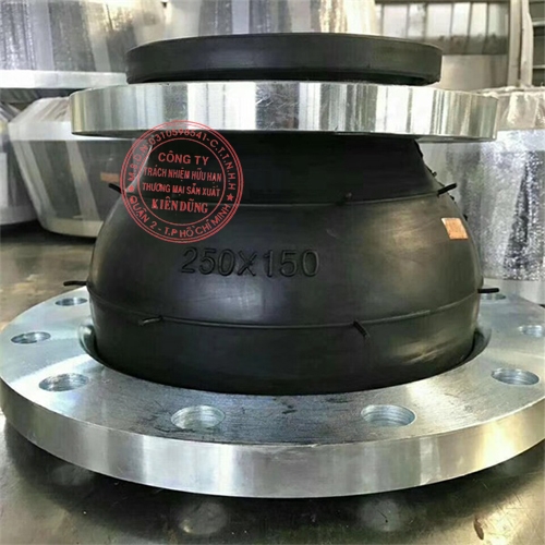 Khớp nối mềm cao su nối giảm Reducer Rubber Expansion Joint 2