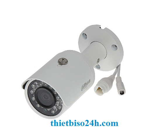 Camera DS2130FIP