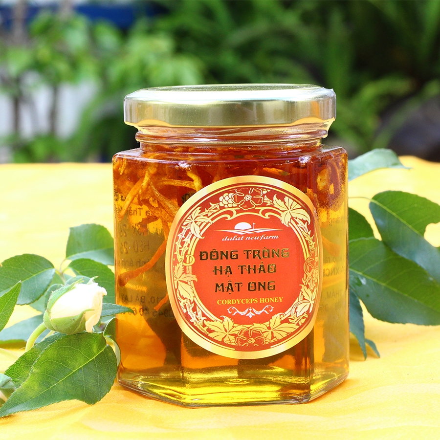 Cách ngâm và cách sử dụng đông trùng hạ thảo mật ong Tăng cường sức khỏe và chăm sóc sức đề kháng Cách ngâm và cách sử dụng đông trùng hạ thảo mật ong Tăng cường sức khỏe và chăm sóc sức đề kháng