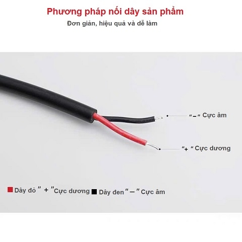 Phương pháp nối dây cho đèn chiếu vạch 4 mắt xe nâng