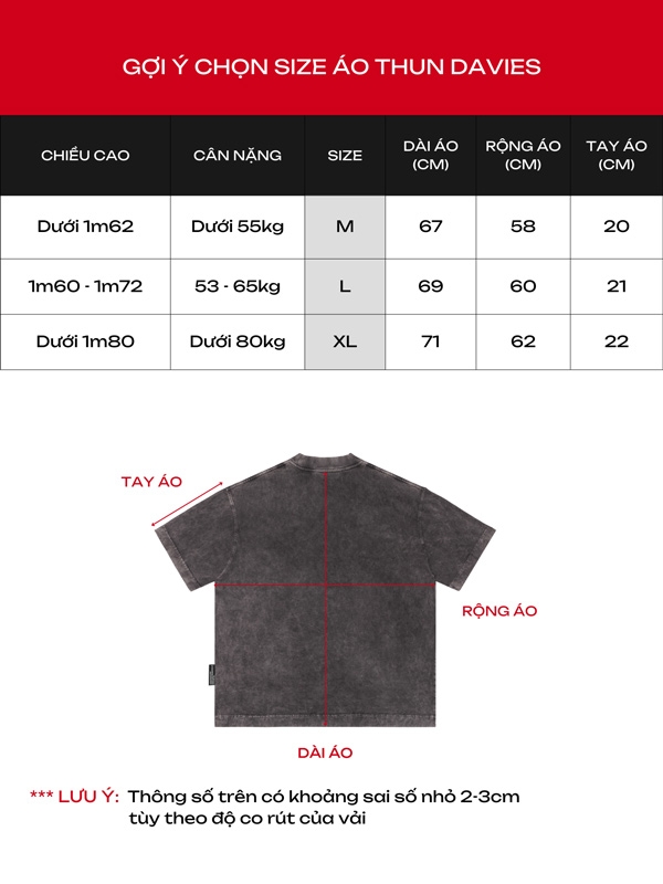 DSW Renaissance Wash Tee