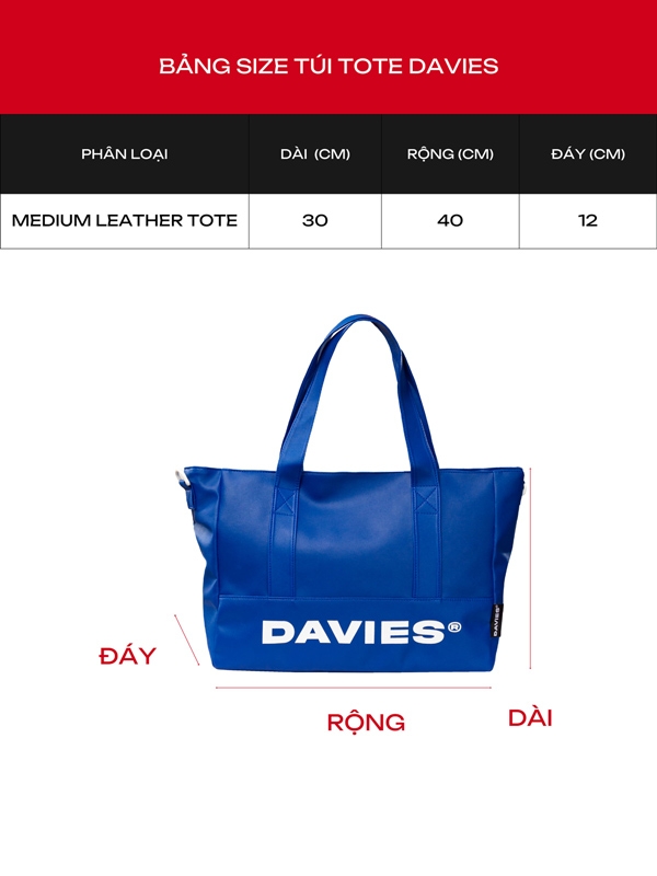 DSW Medium Leather Tote Bag