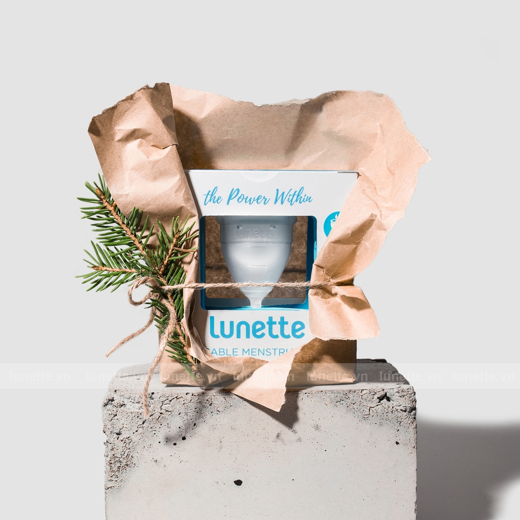 Các vấn đề khi sử dụng cốc nguyệt san