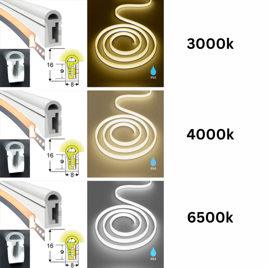 LED NEON 220V KÍCH THƯỚC 8x16
