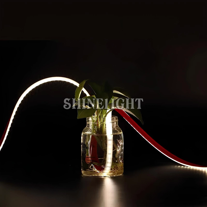 LED DÁN CAO CẤP 24V