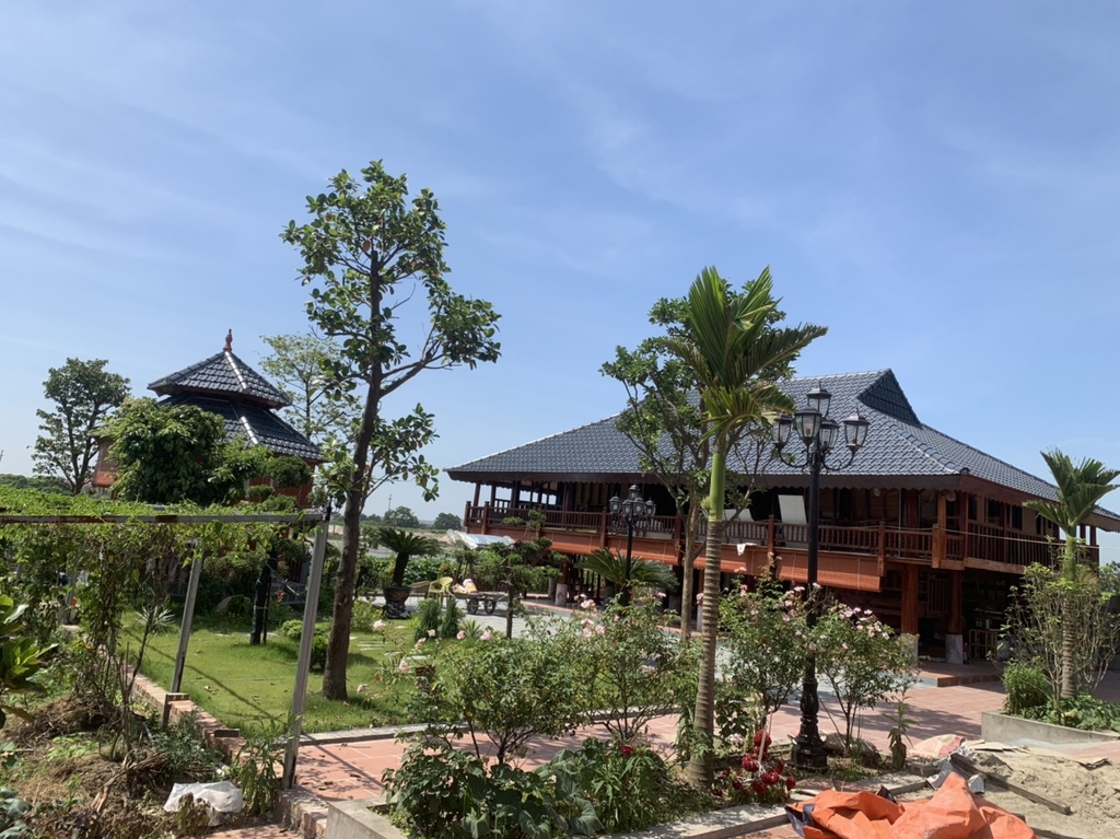 Mành Trúc Không Mối Mọt