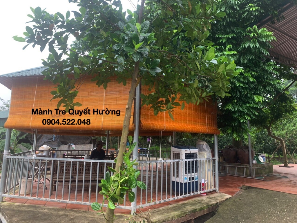 Mành Trúc Đẹp
