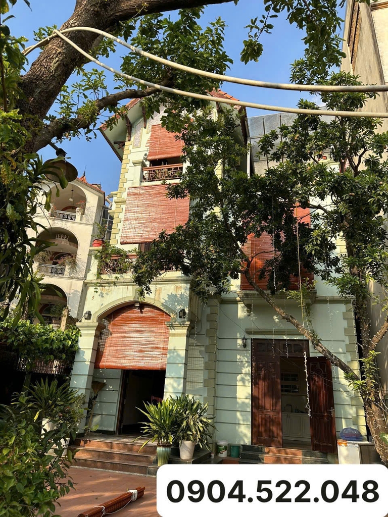 Mành Trúc Vẽ Tay