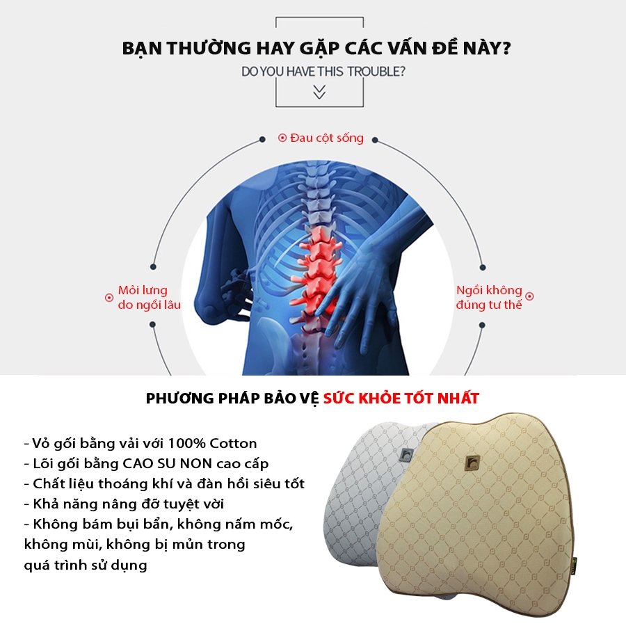 Tựa Lưng Cao Su Non FOCUS Gu F-YM04F-B Màu Xám - Nhập Khẩu Chính Hãng