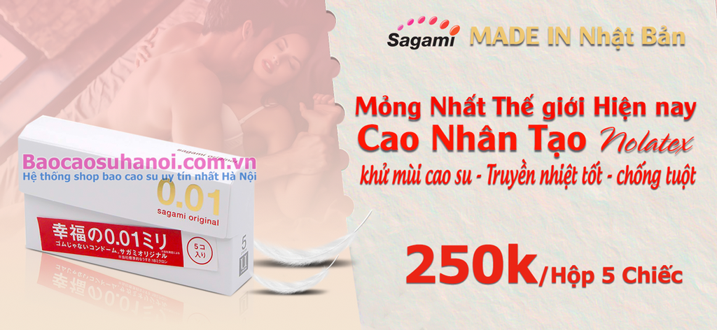 bao-cao-su-sagami-001-hà-nội