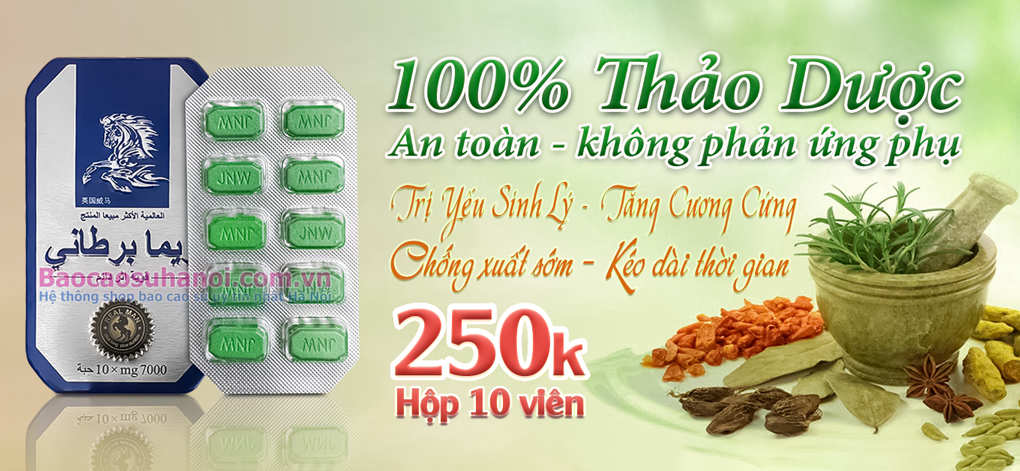 thuốc-cường-dương-ngựa-thái-ở-hà-đông