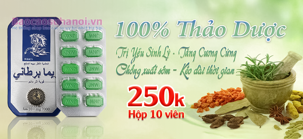 thuốc-ngựa-thái-loại-1