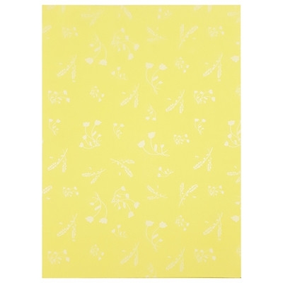 Bìa thơm 210x297mm 180gsm 100 tờ A4